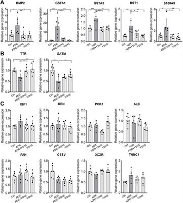 Yi-Shen-Hua-Shi Granule Alleviates Adriamycin-Induced Glomerular Fibrosis by Suppressing the BMP2/Smad Signaling Pathway